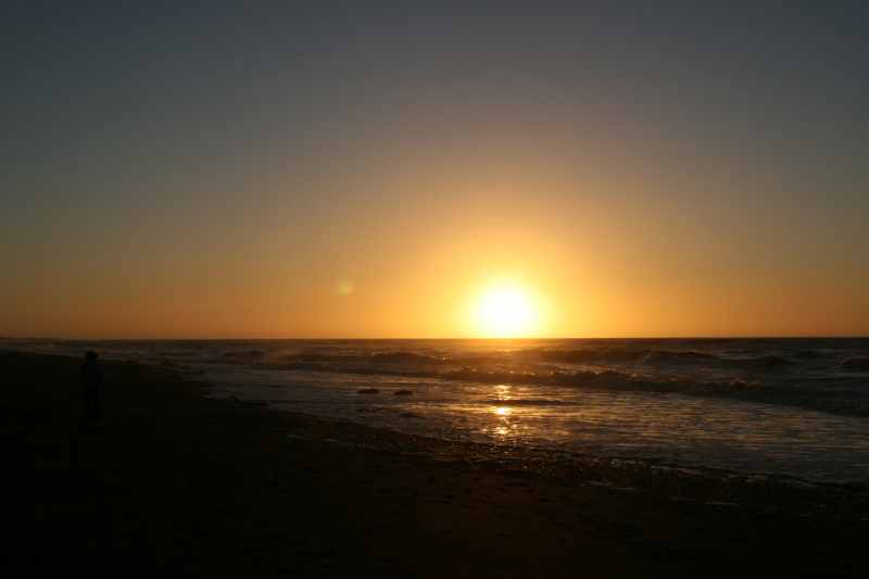 Nieuw-Zeeland 2011 - 1366